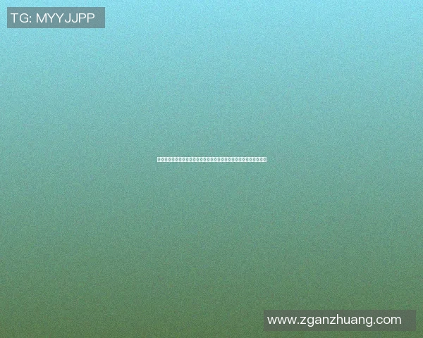 广州排球队的控制革新探索与实践：重塑竞技格局与提升团队协作能力